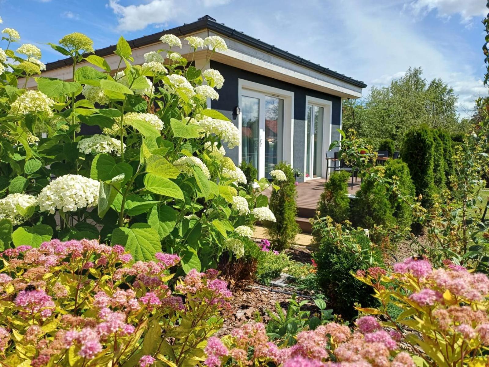 Family Garden House With Free Private Parking & Playground Villa รีกา ภายนอก รูปภาพ